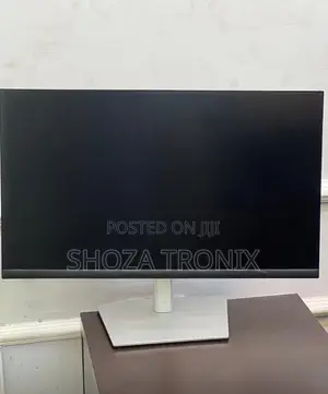 Dell Flameless Monitor P24
