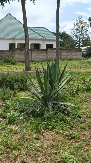 New Plot for Sale Mwanza Buhongwa