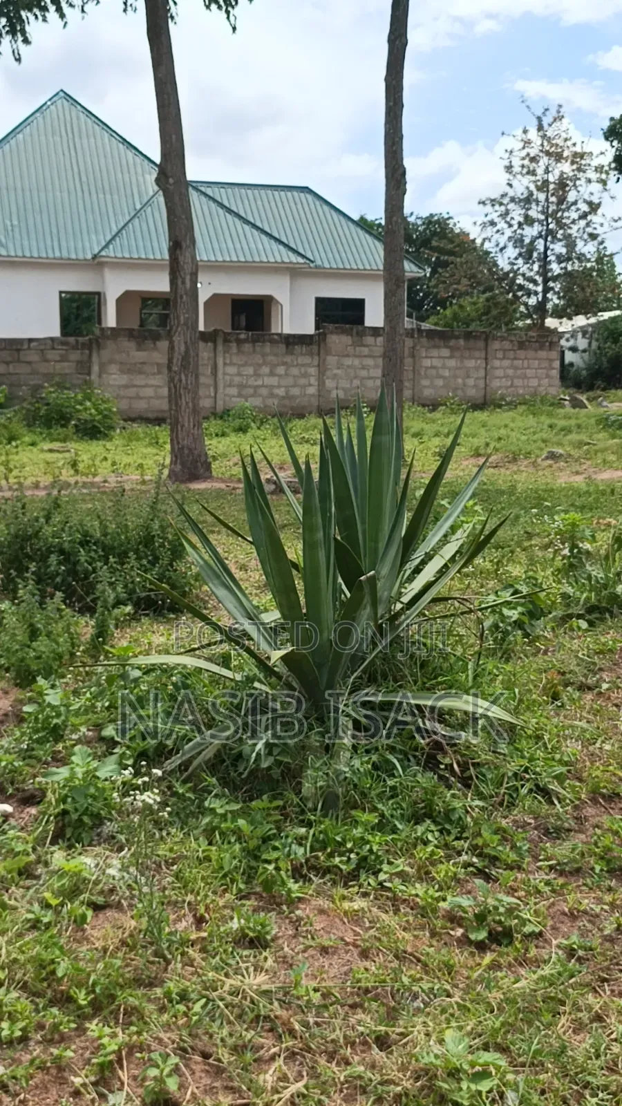 New Plot for Sale Mwanza Buhongwa