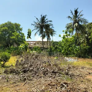 Plot for Sale Oysterbay DSM