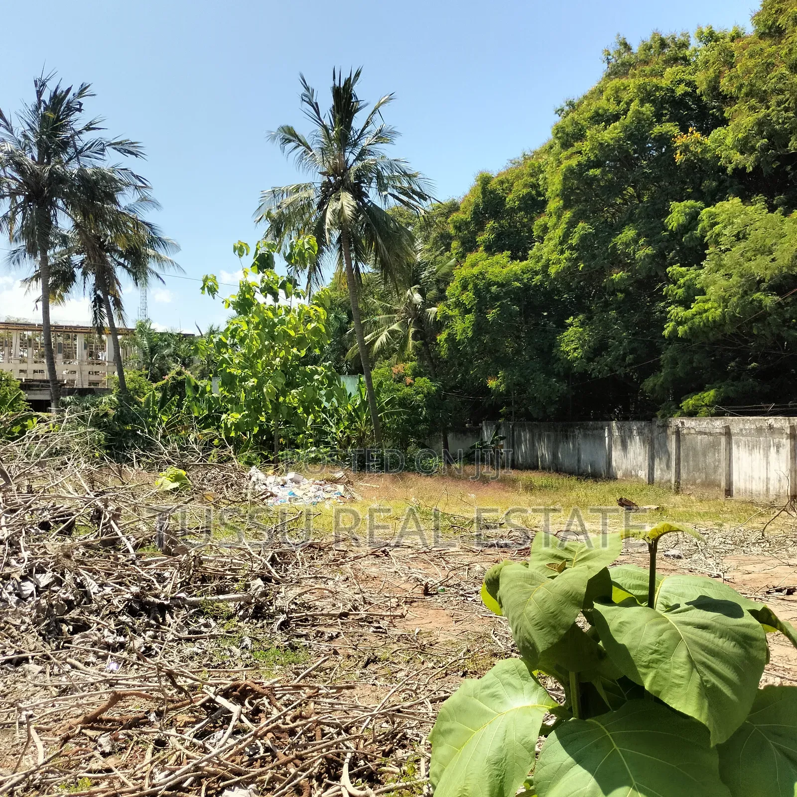 Plot for Sale Oysterbay DSM