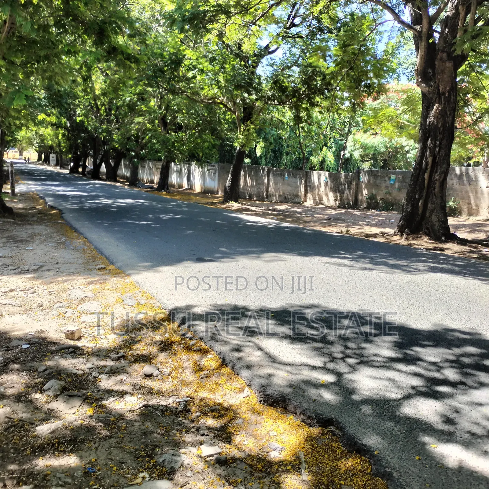Plot for Sale Oysterbay DSM