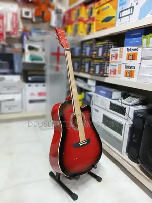 Ibanez Acoustic Guitar
