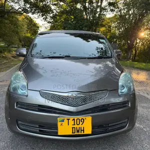 Toyota Ractis 2006 Gray