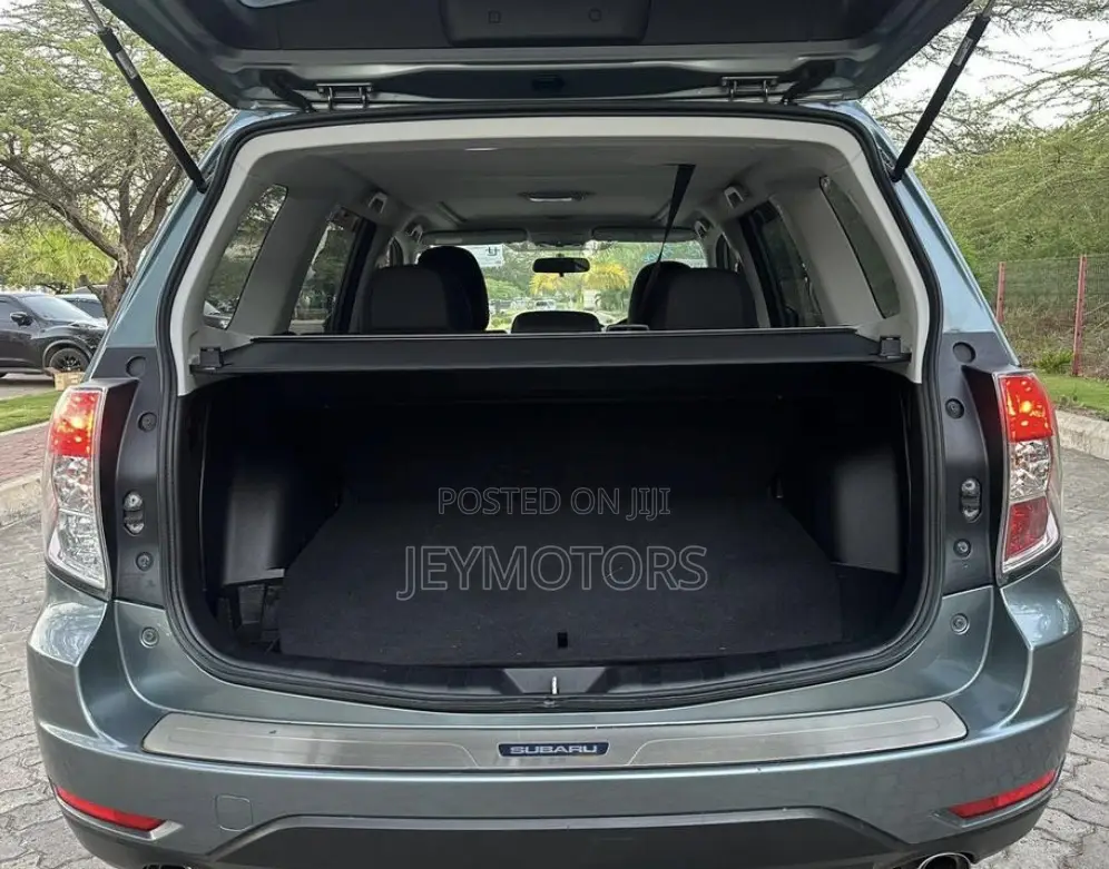 Subaru Forester 2010 Gray