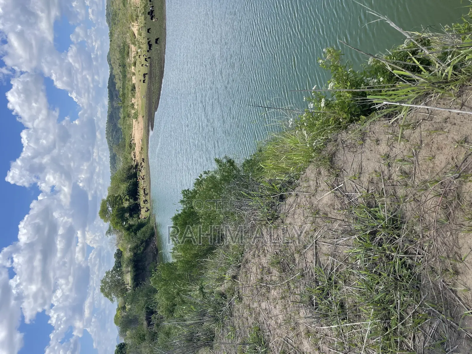 Shamba La Umwagiliaji Linauzwa Kiwangwa