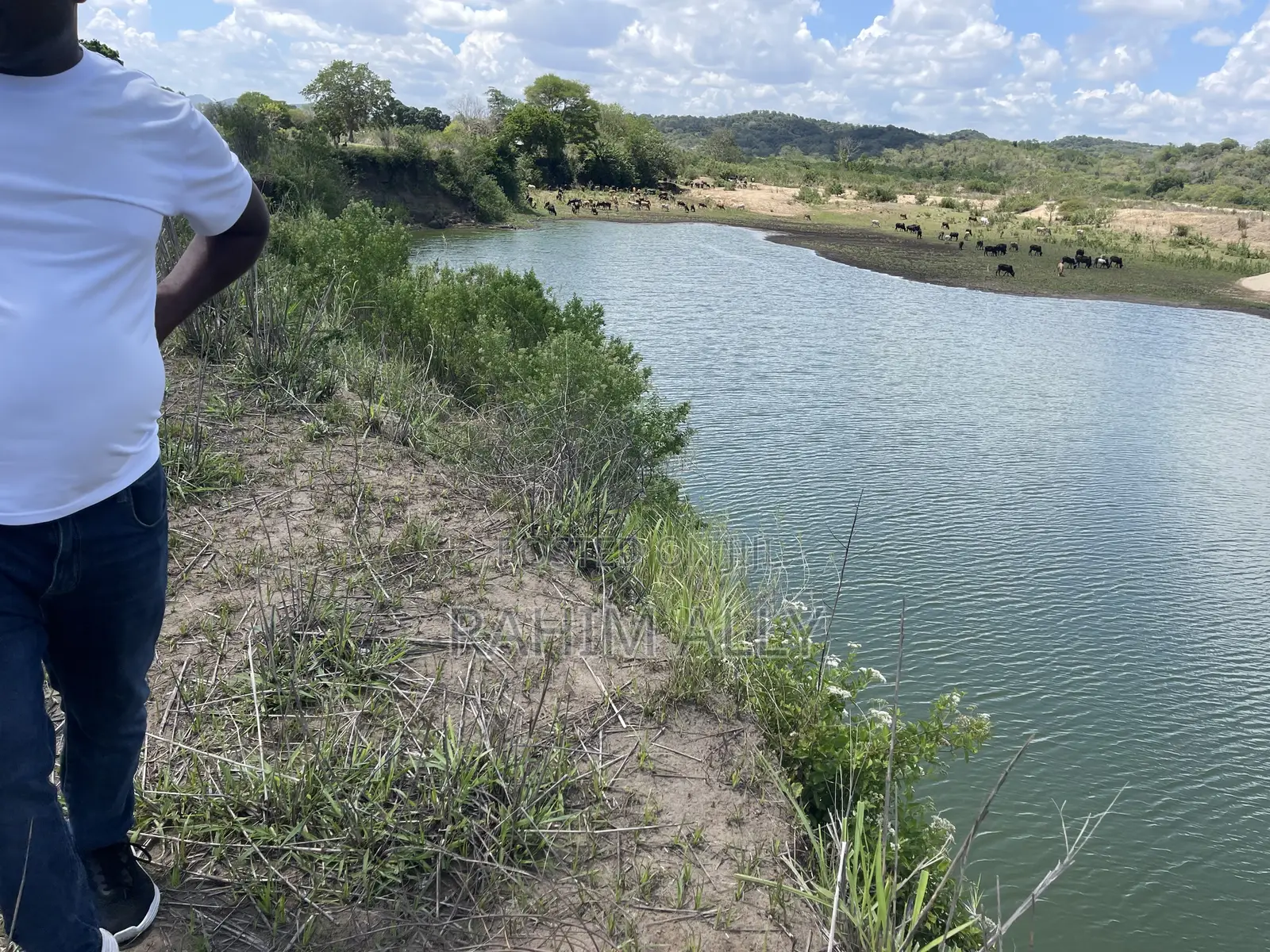 Shamba La Umwagiliaji Linauzwa Kiwangwa