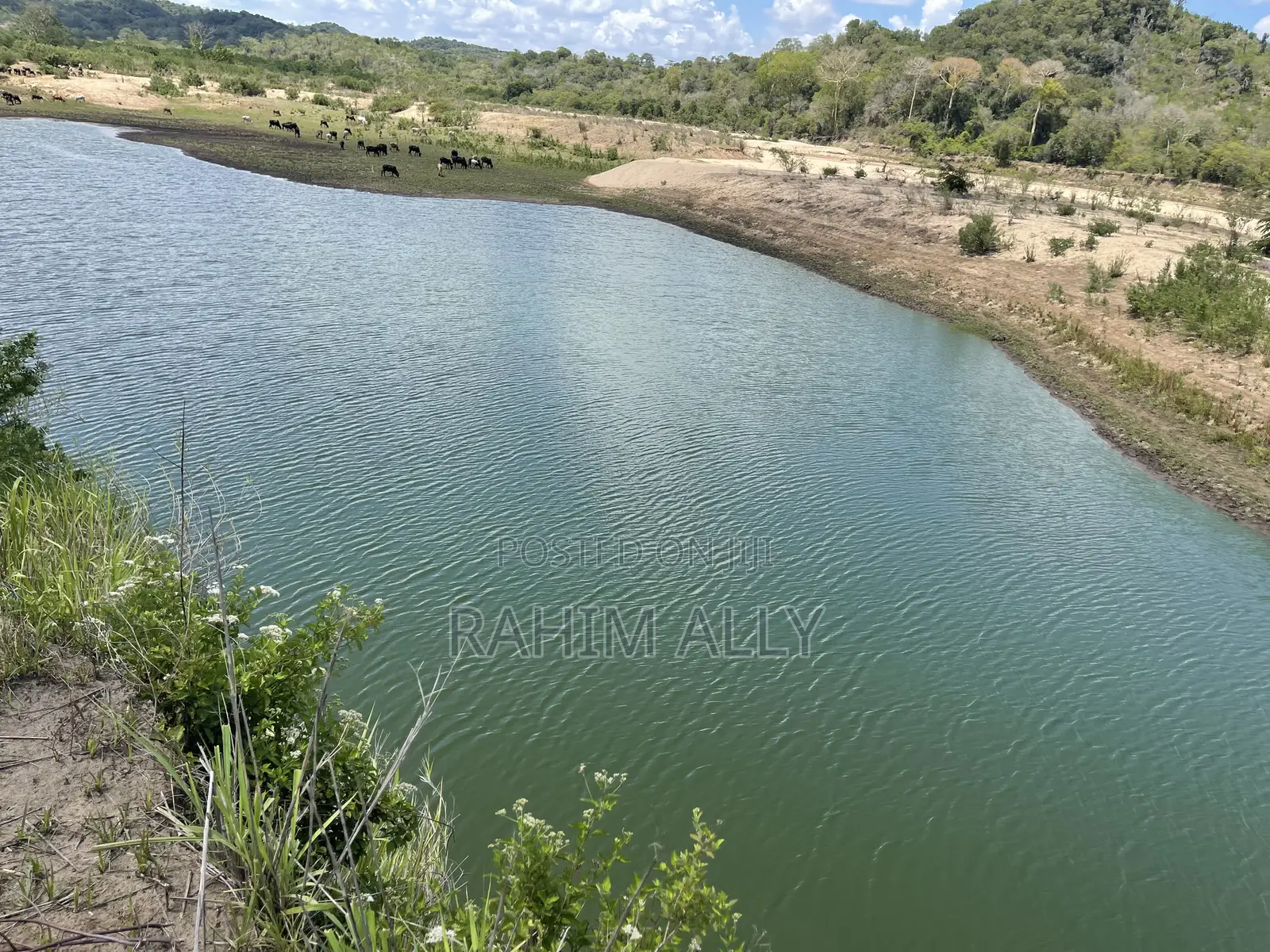 Shamba La Umwagiliaji Linauzwa Kiwangwa