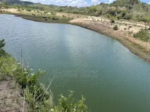 Shamba La Umwagiliaji Linauzwa Kiwangwa