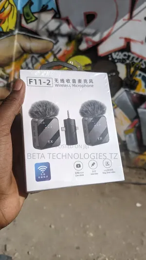 Double Wireless Mic