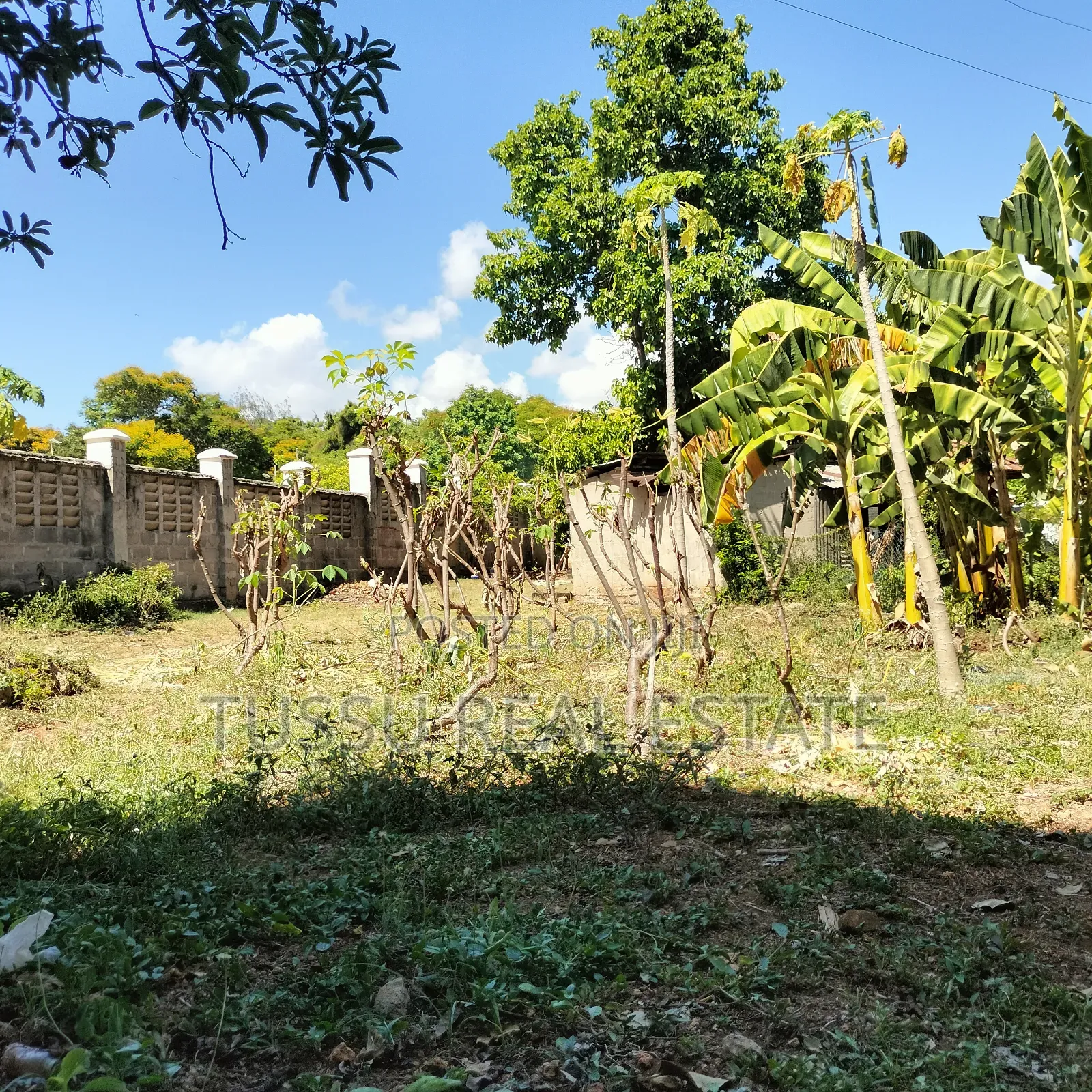 Prime Plot for Sale Oysterbay Bongoyo Street