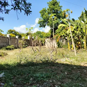 Prime Plot for Sale Oysterbay Bongoyo Street