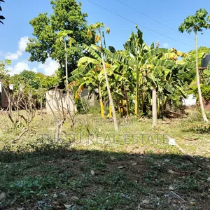 Prime Plot for Sale Oysterbay Bongoyo Street