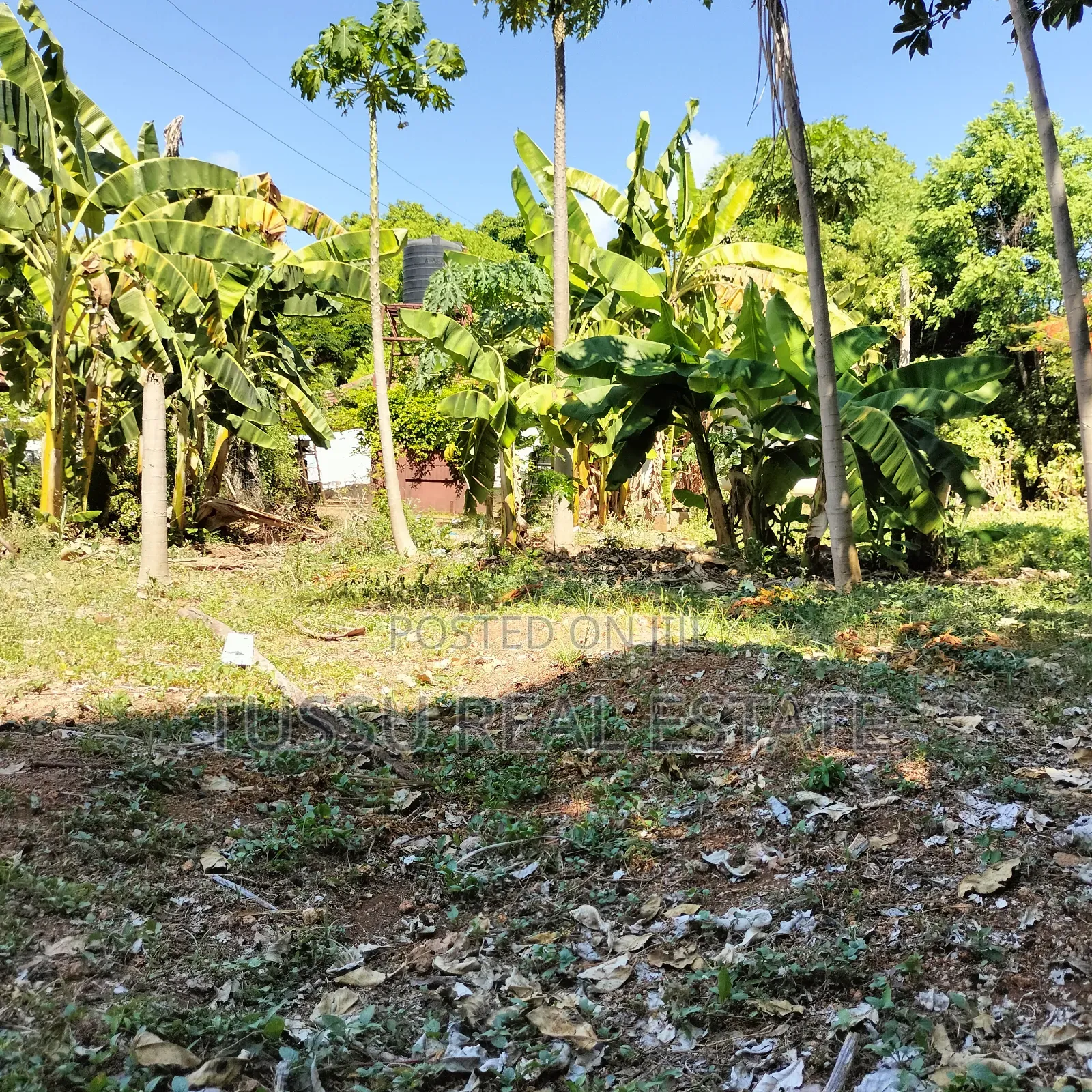 Prime Plot for Sale Oysterbay Bongoyo Street
