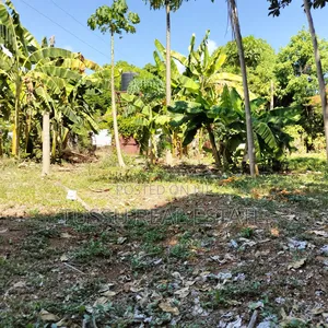 Prime Plot for Sale Oysterbay Bongoyo Street