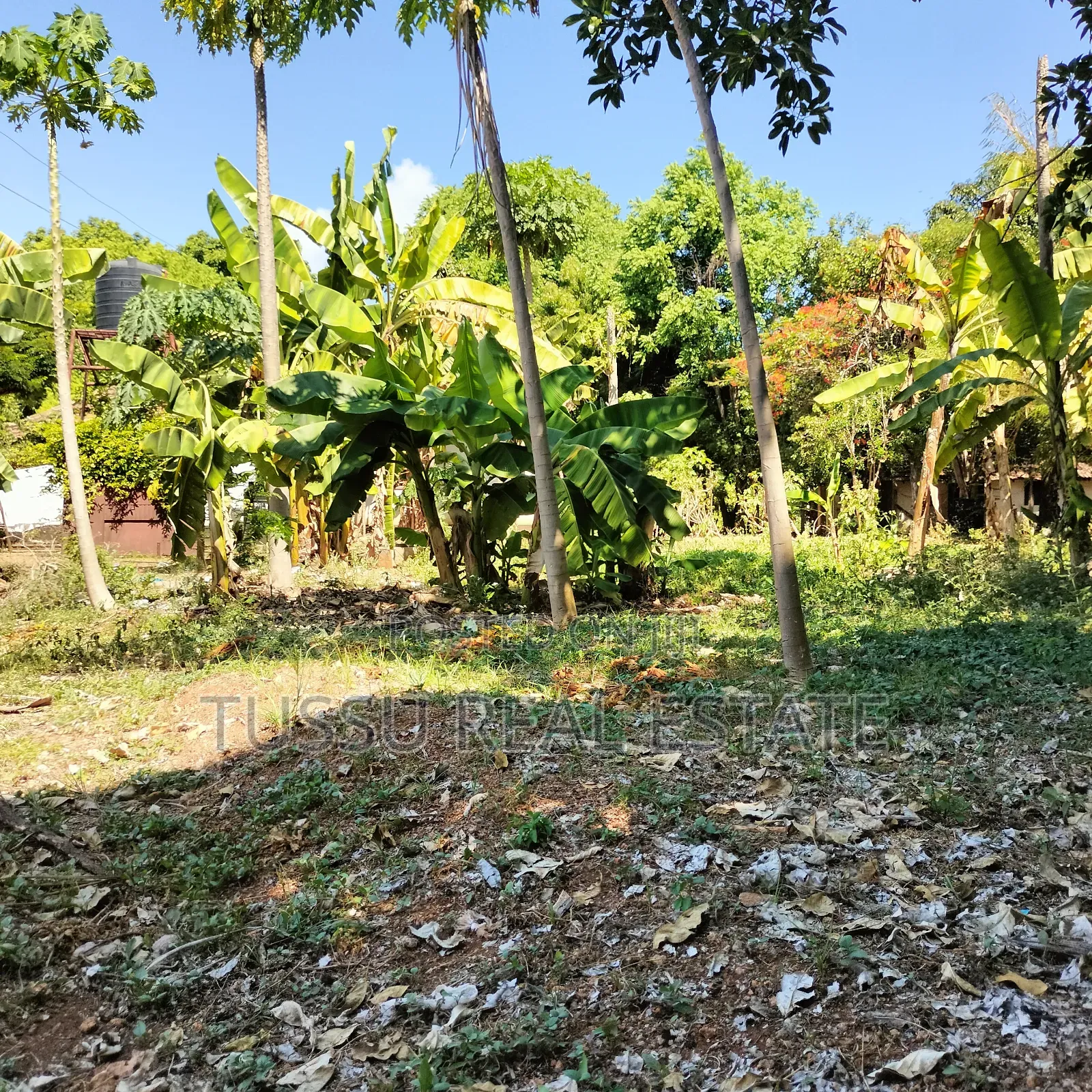 Prime Plot for Sale Oysterbay Bongoyo Street