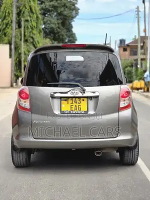 Toyota Ractis 2009 Gray