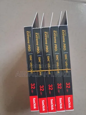 Sandisk Memory