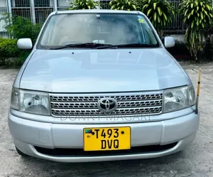 Toyota Probox 1.5 CNG 2WD 2004 Silver