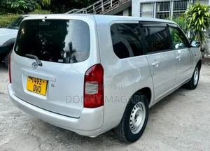 Toyota Probox 1.5 CNG 2WD 2004 Silver