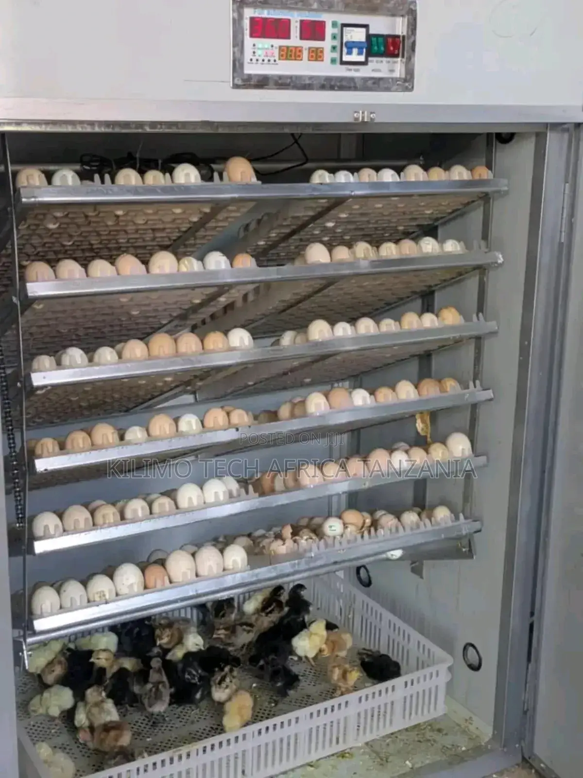 Mashine Za Kutotoleshea Vifaranga ( Incubator )