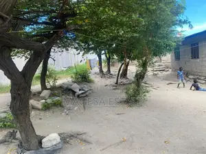 3bdrm Farm House in Kijitonyama for sale