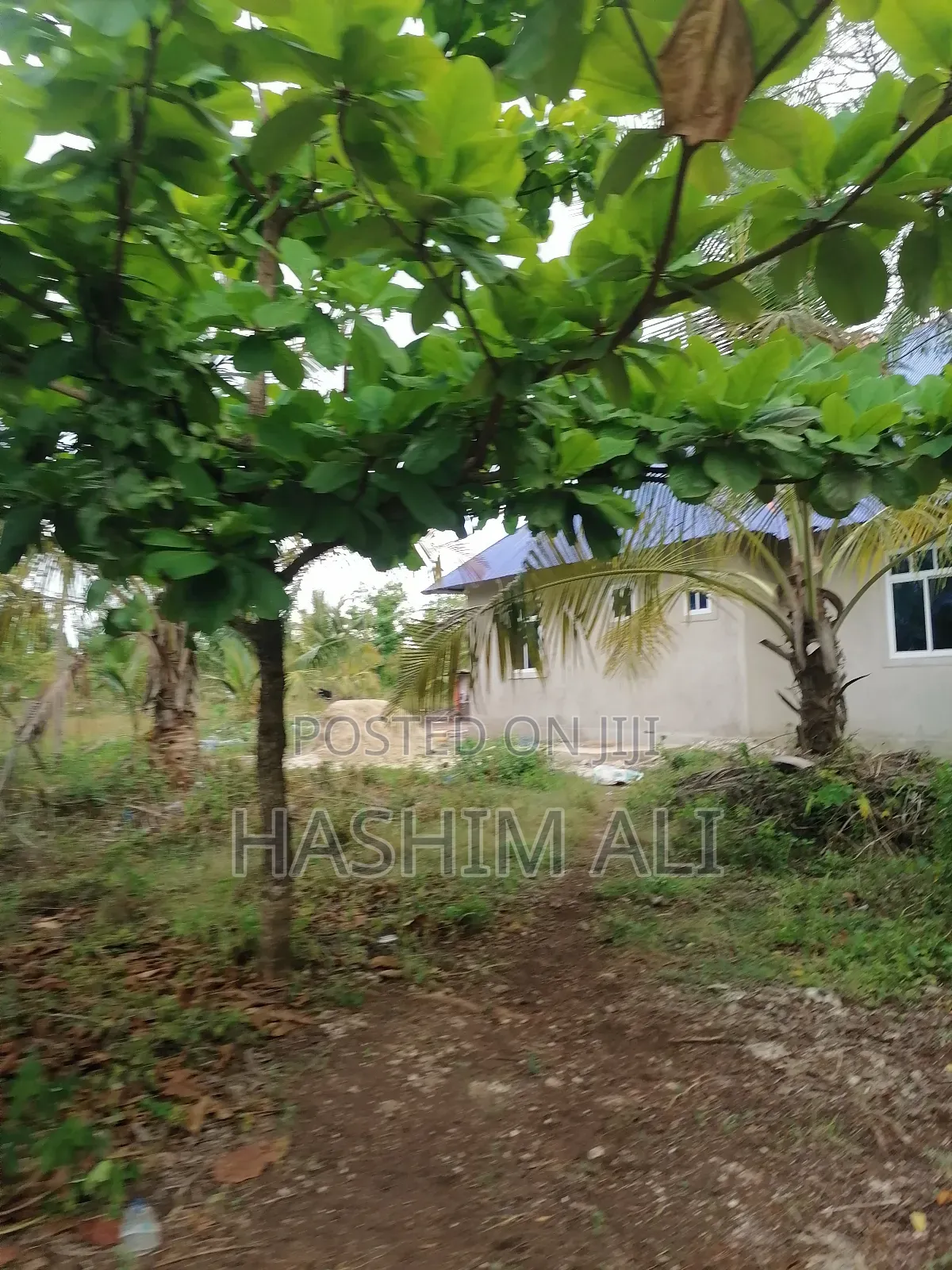 Land for Sale in Michamvi