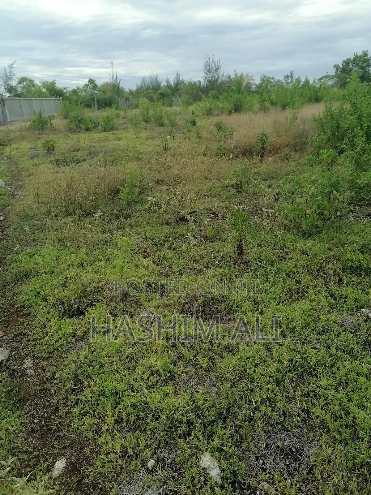 Land for Sale in Michamvi