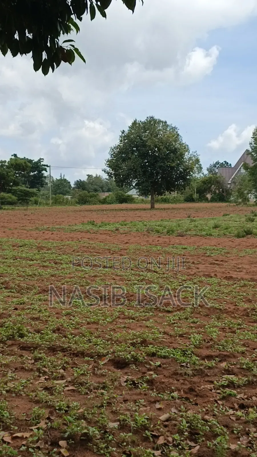 Plot for Sale