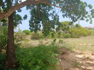 22 Acres Plot For Sale At Saadan National Park