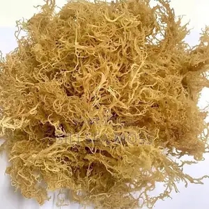 Sea Weed (Seamoss)