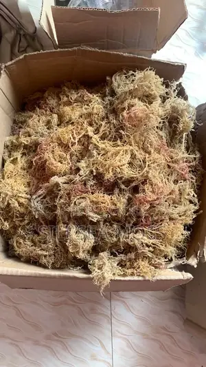 Sea Weed (Seamoss)