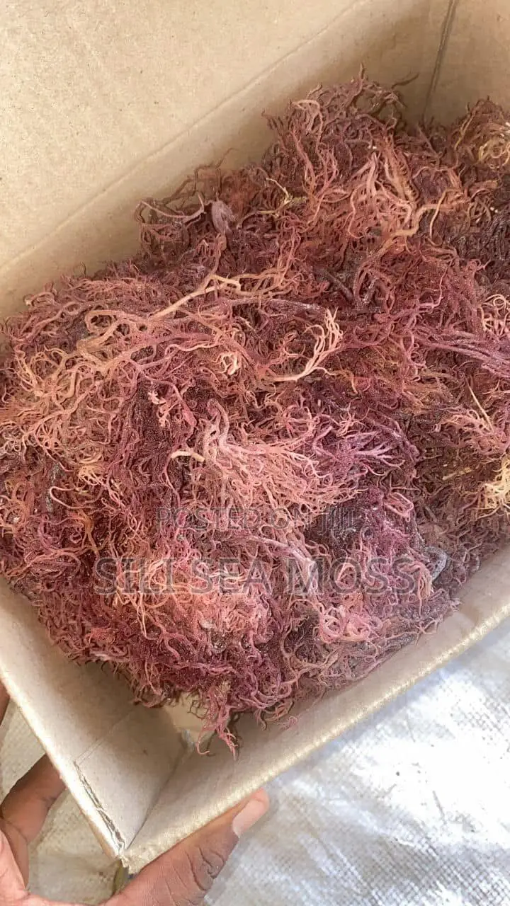 Sea Weed (Seamoss)
