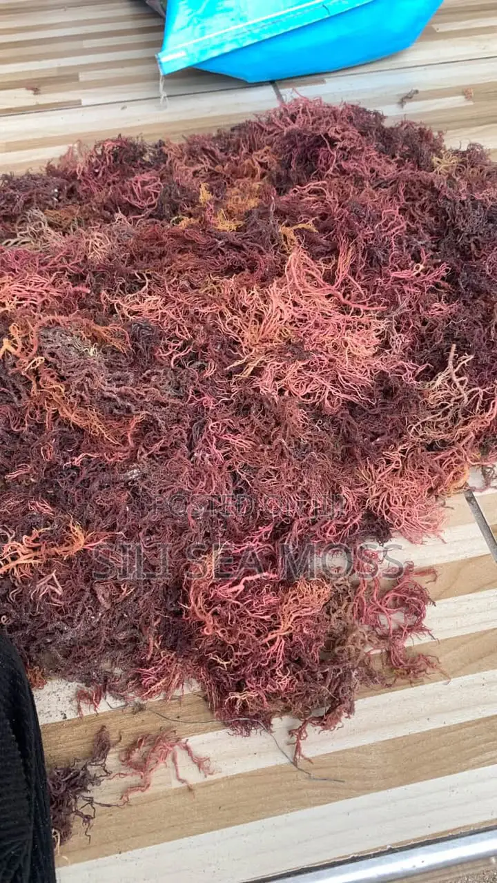 Sea Weed (Seamoss)