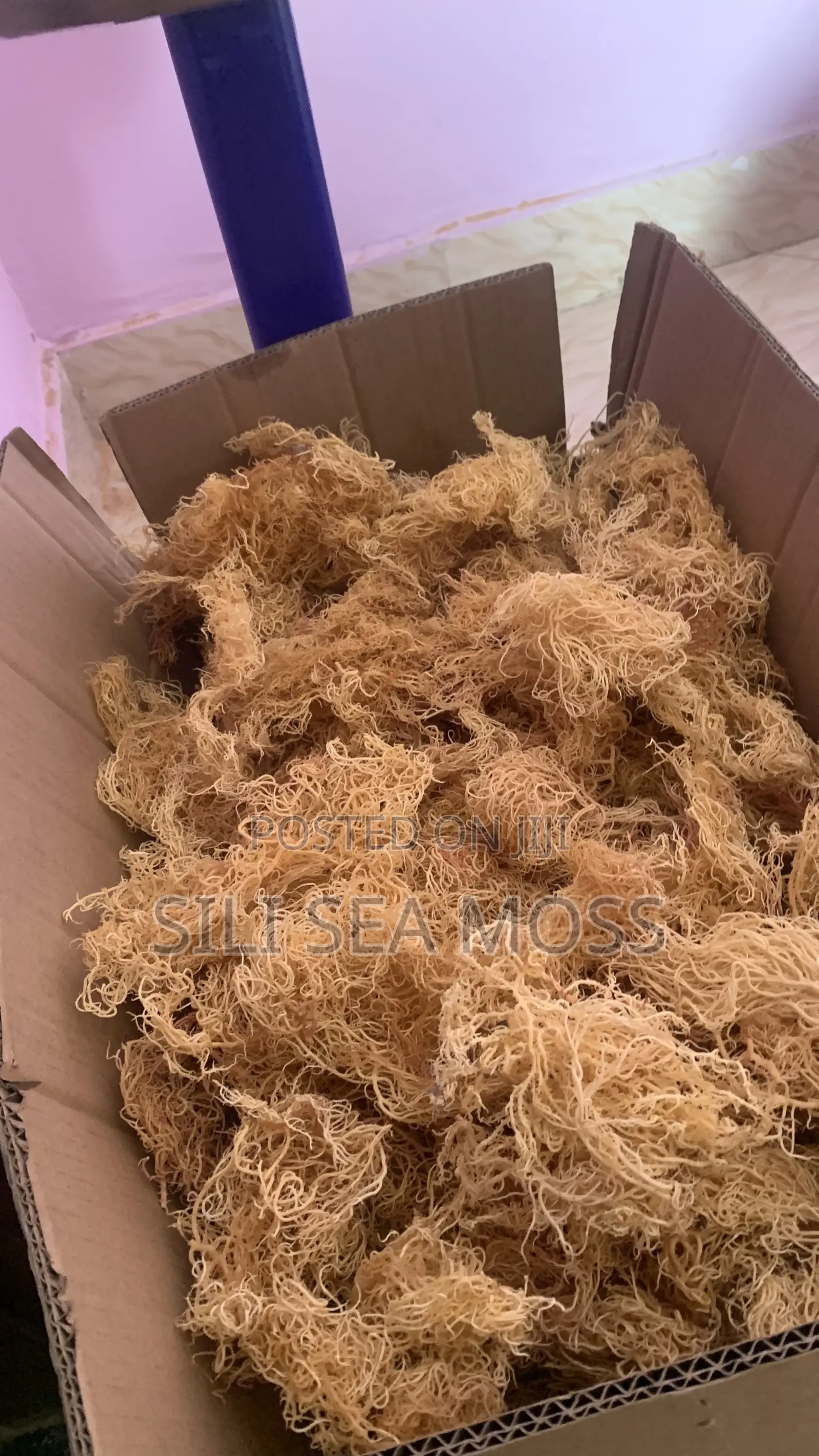 Sea Weed (Seamoss)