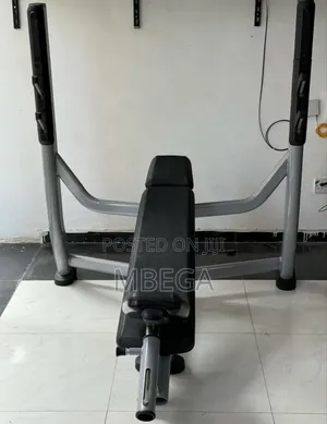 Commercial Incline Benches
