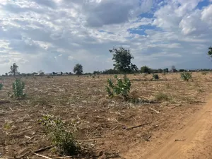Shamba Linauzwa Kijiji Cha Utamaduni Shabaha Manguzoni Moshi
