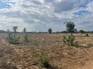 Shamba Linauzwa Kijiji Cha Utamaduni Shabaha Manguzoni Moshi