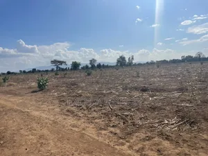 Shamba Linauzwa Kijiji Cha Utamaduni Shabaha Manguzoni Moshi