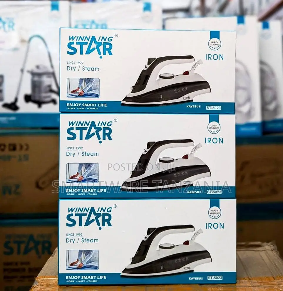 Winning Star Steam Iron Dry and Steam 2 in 1 Non-Stick Soleplate