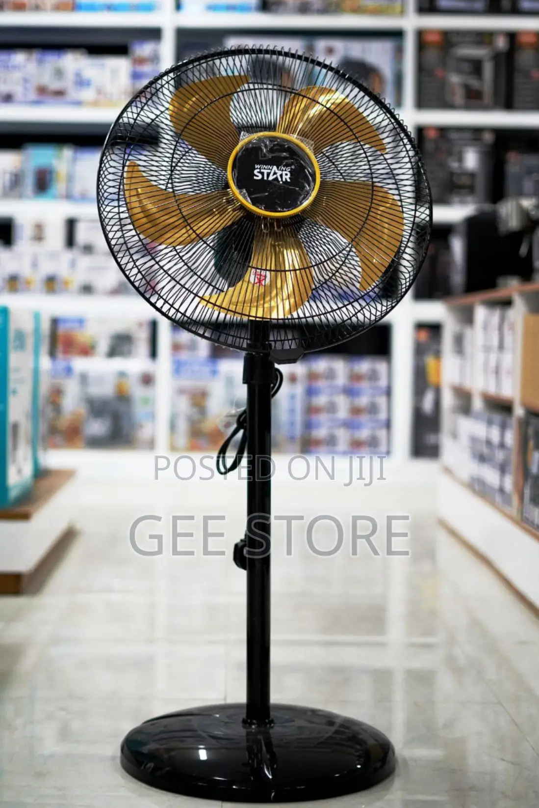 Electric Floor Fan