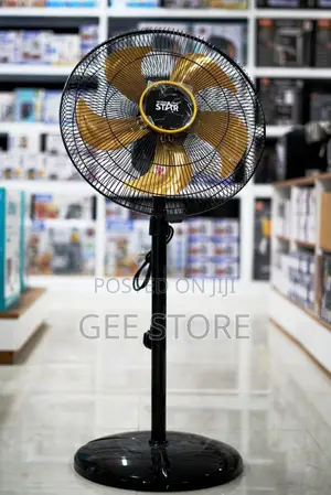 Electric Floor Fan