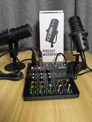 Professional Podcast Microphone Set Dual Mics Mixer Audio Kit