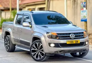 Volkswagen Amarok 2011 Gray
