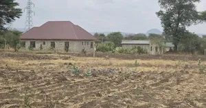 Funga Mwaka Na Viwanja