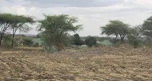 Funga Mwaka Na Viwanja