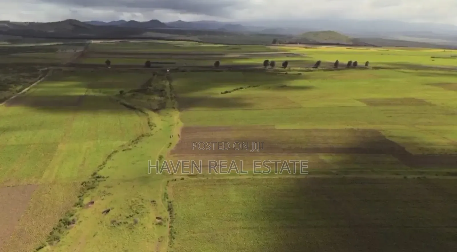130 Acres for Sale at Kilimanjaro