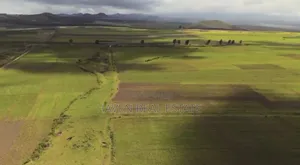 130 Acres for Sale at Kilimanjaro