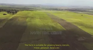 130 Acres for Sale at Kilimanjaro