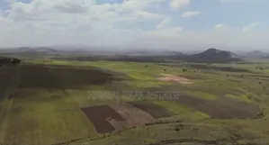 130 Acres for Sale at Kilimanjaro